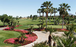 Borrego Springs