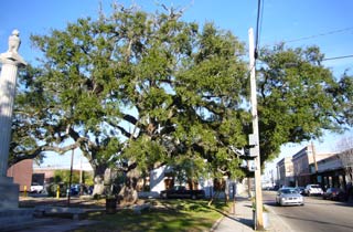 Covington, Louisiana