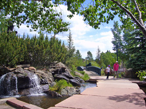 Trails in Estes Park, Colorado