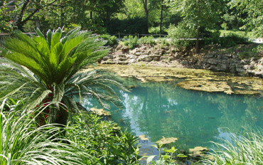 Blue Spring Heritage Center