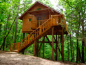 Treehouse Cottages