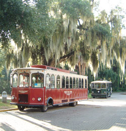 Mount Dora, Florida