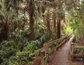 Palm Island path